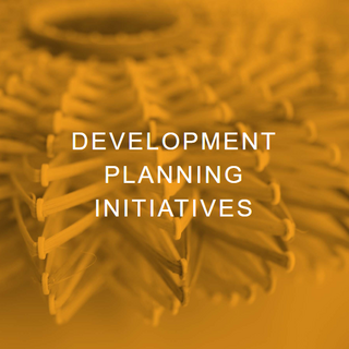 Development Planning Initiatives